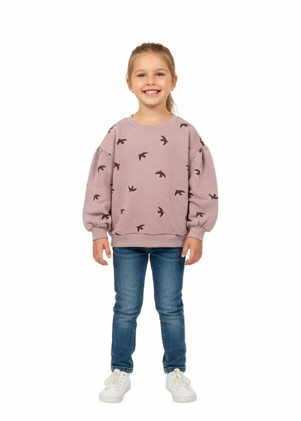 Kids Girl Sweatshirt (Zara Brand)