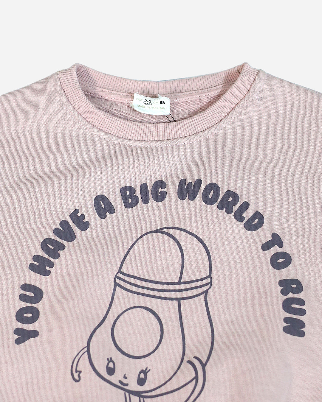 Kids Boys Sweatshirt (ZARA Brand)