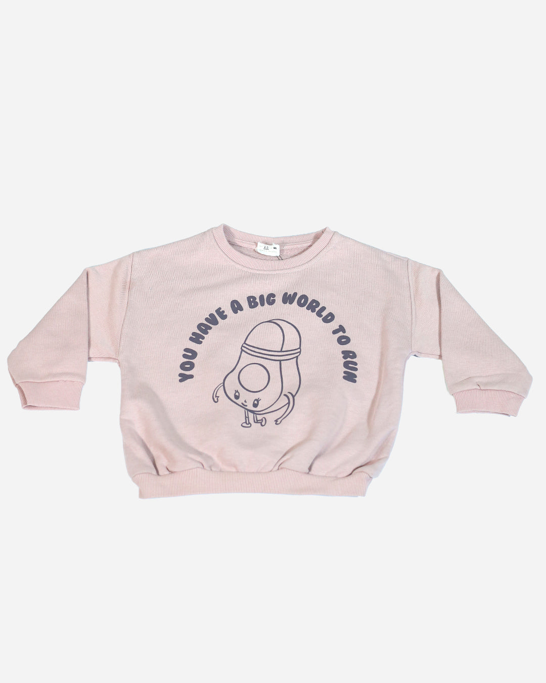 Kids Boys Sweatshirt (ZARA Brand)