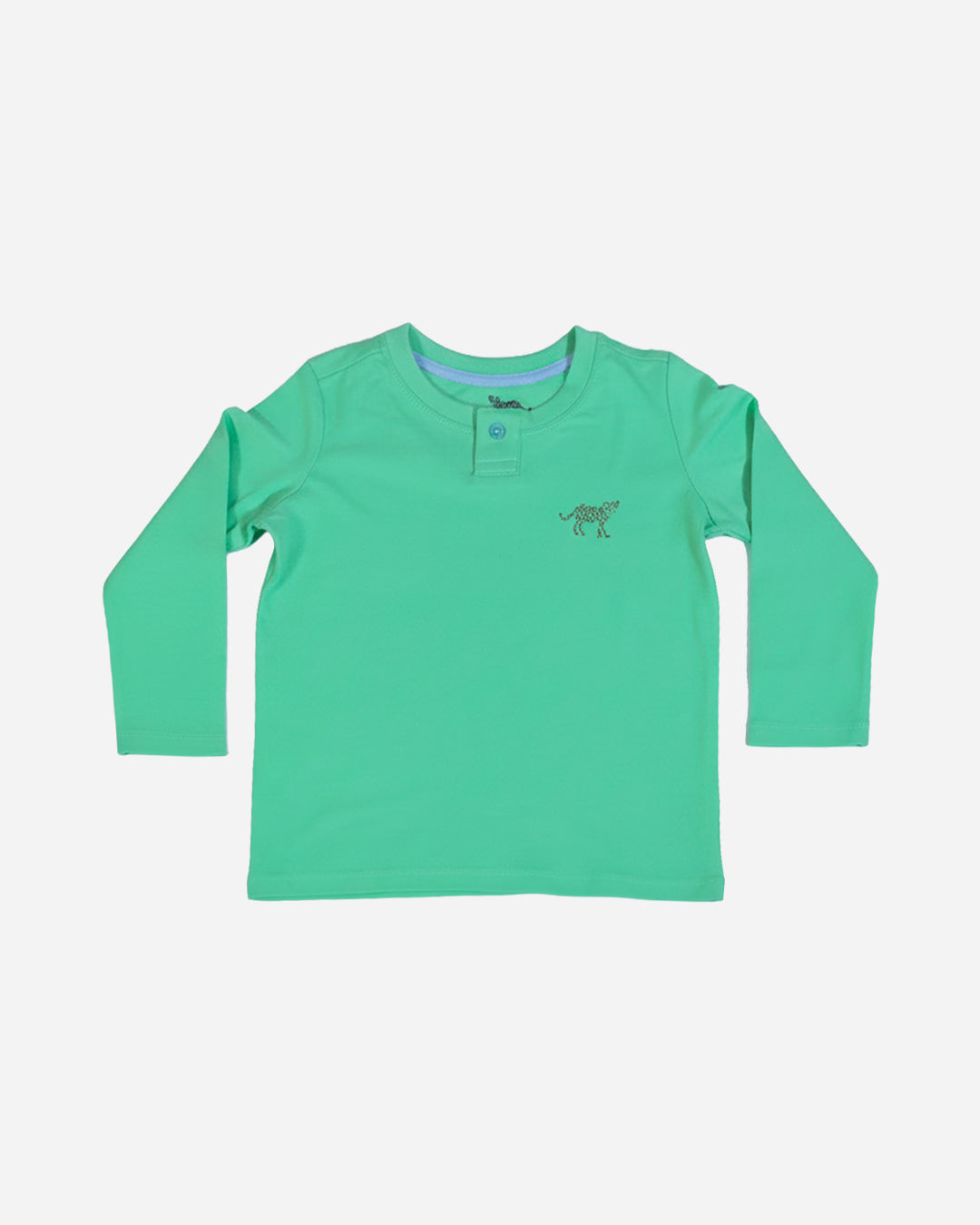 Boys Full Sleeves T-shirt In Green Color