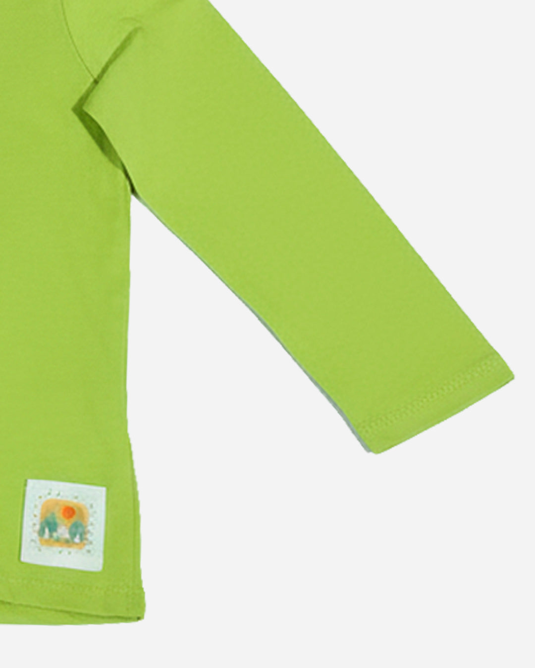 Boys Full Sleeves T-shirt (Sinsay Brand)