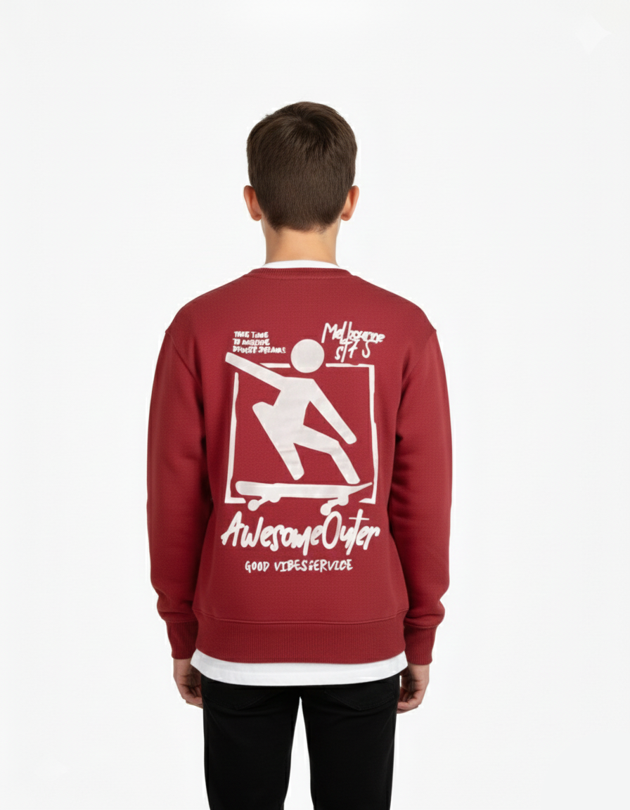 Kids Boys Sweatshirt (ZARA Brand)