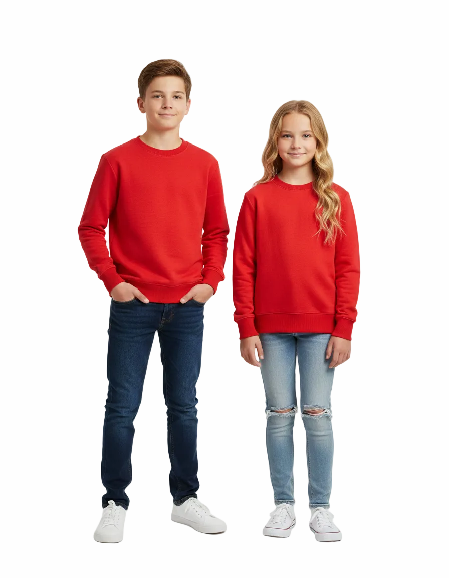 Kids Unisex Sweatshirt (ZARA Brand)