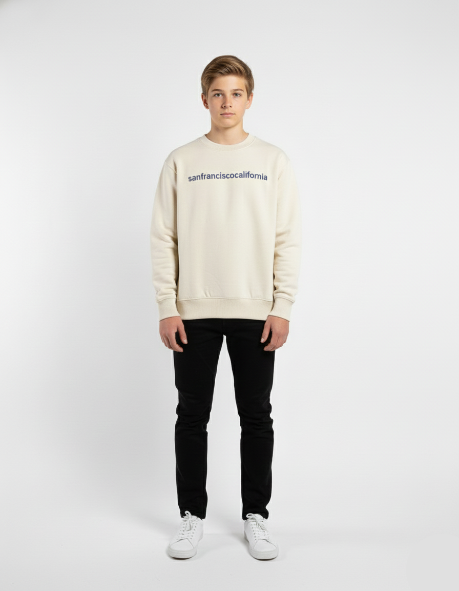 Kids Boys Sweatshirt (ZARA Brand)