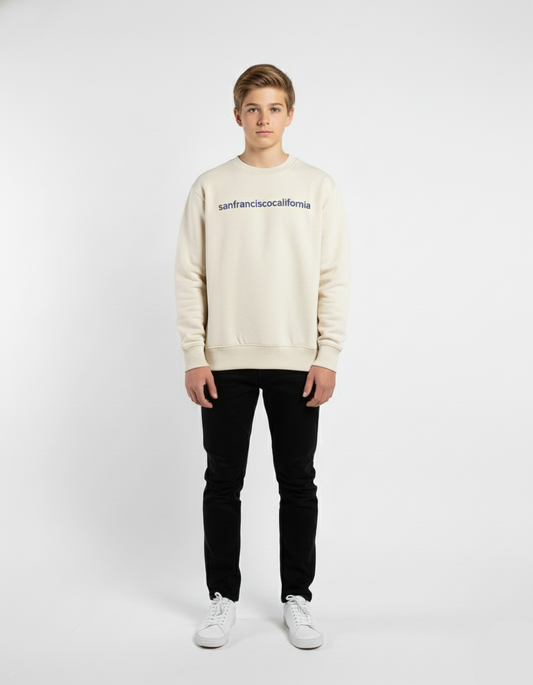 Kids Boys Sweatshirt (ZARA Brand)