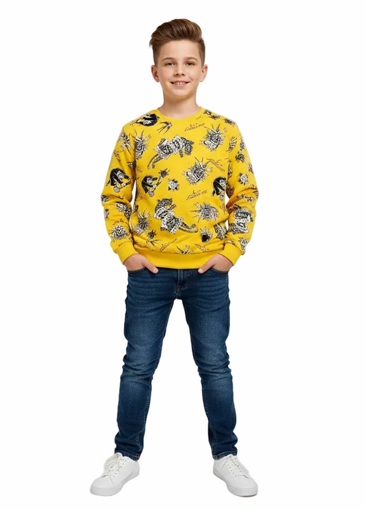 Kids Boys Sweatshirt (ED Hardy Brand)