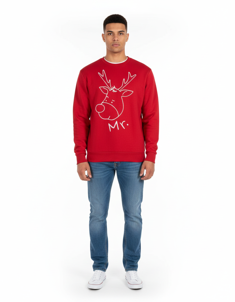 Mens Sweatshirt (Sinsay Brand)