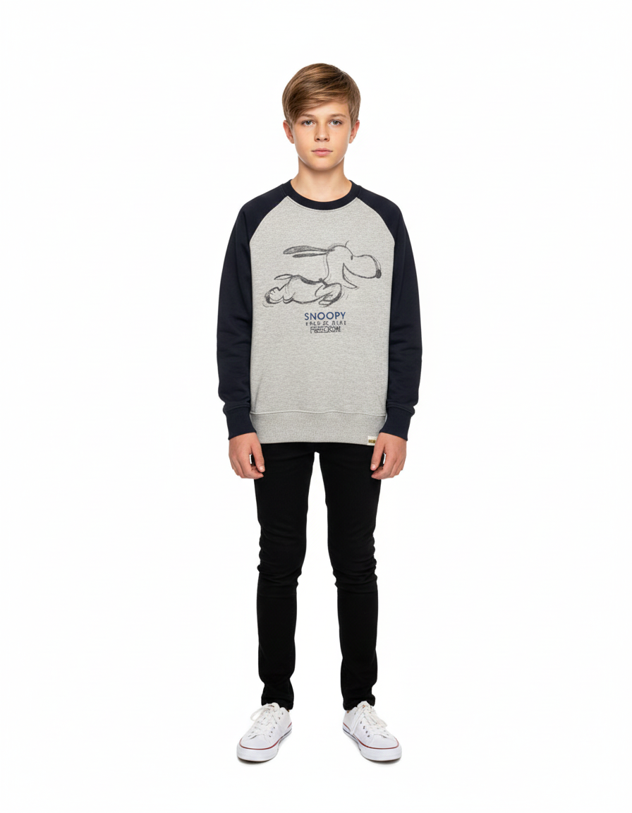 Kids Boys Sweatshirt (ZARA Brand)