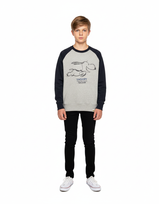 Kids Boys Sweatshirt (ZARA Brand)