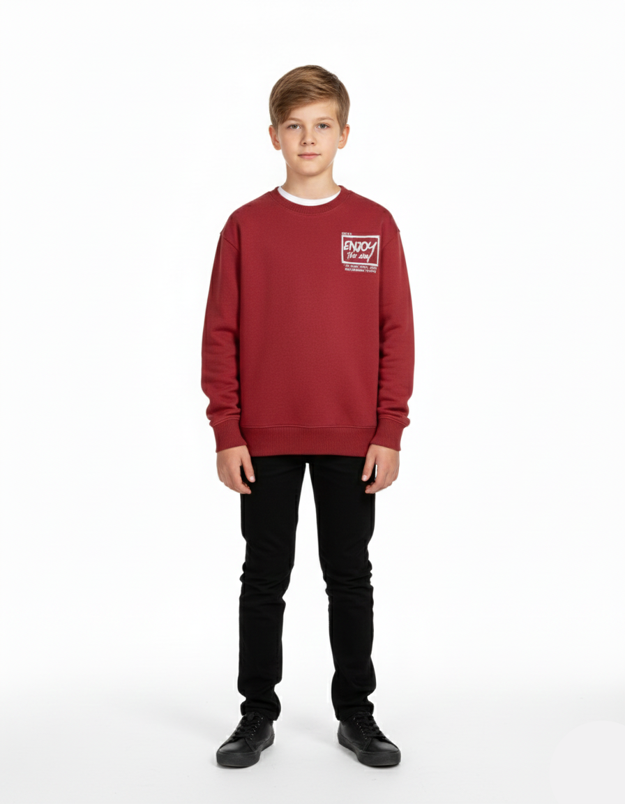 Kids Boys Sweatshirt (ZARA Brand)