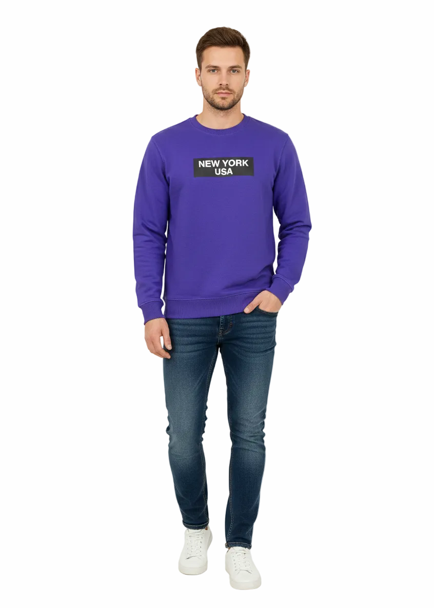 Mens Sweatshirt (Terranova Brand)