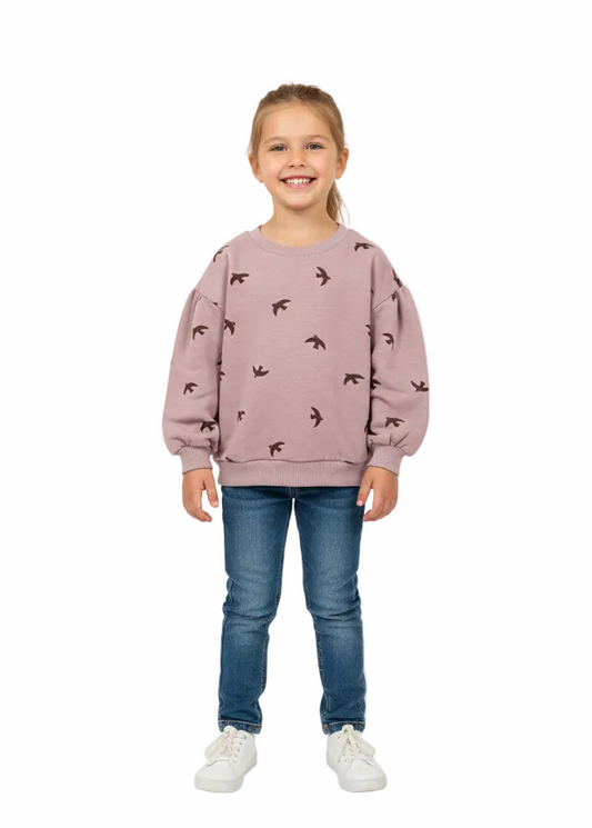 Kids Girl Sweatshirt (Zara Brand)