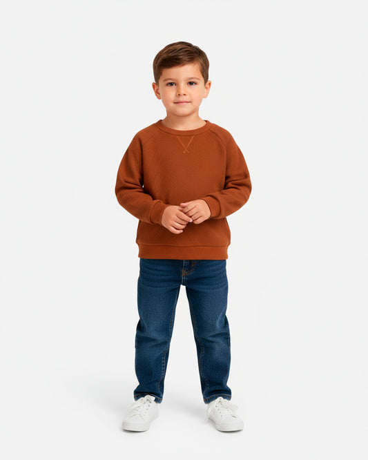 Kids Boys Sweatshirt (ZARA Brand)