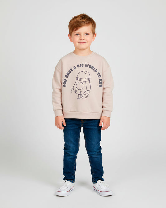 Kids Boys Sweatshirt (ZARA Brand)
