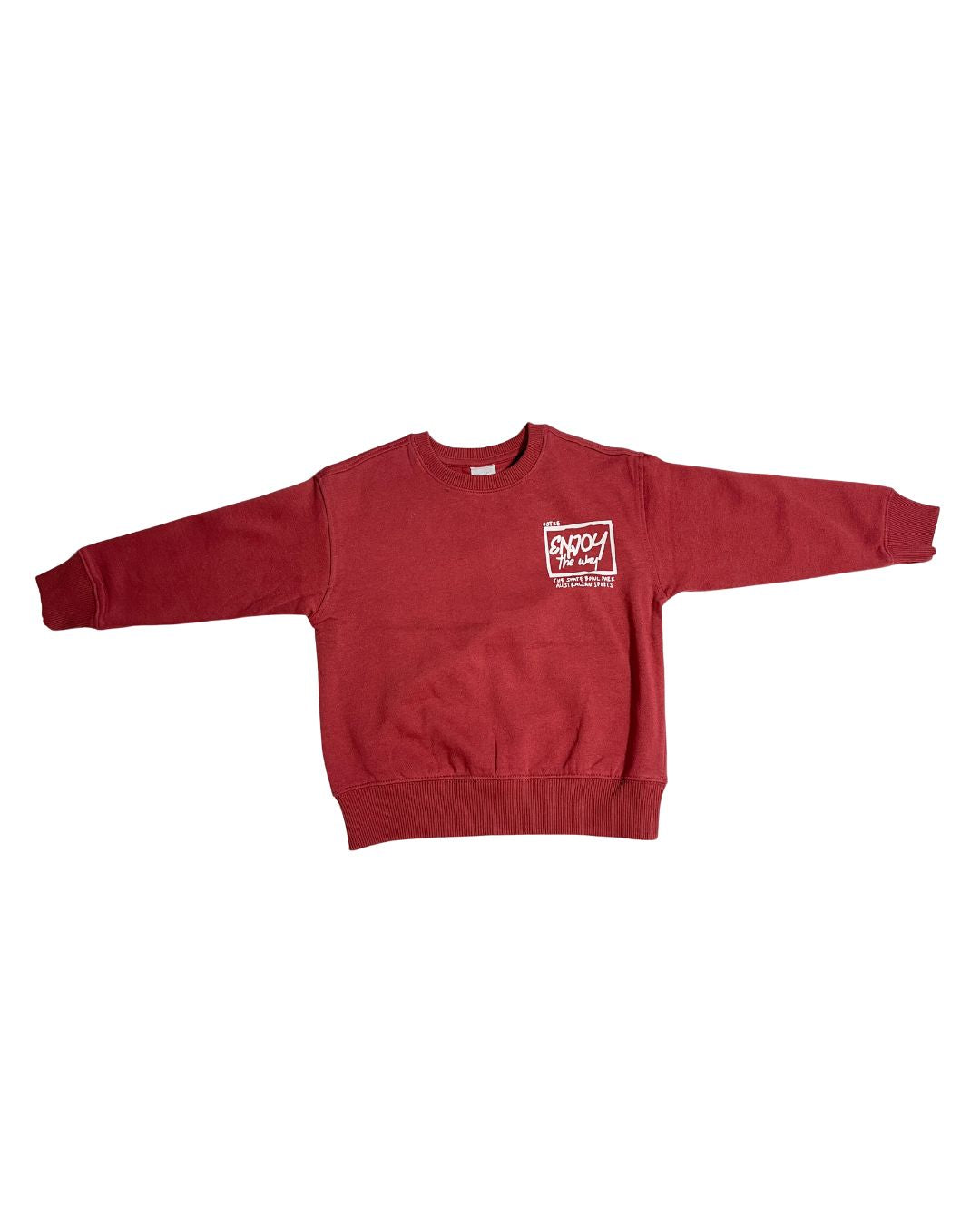Kids Boys Sweatshirt (ZARA Brand)