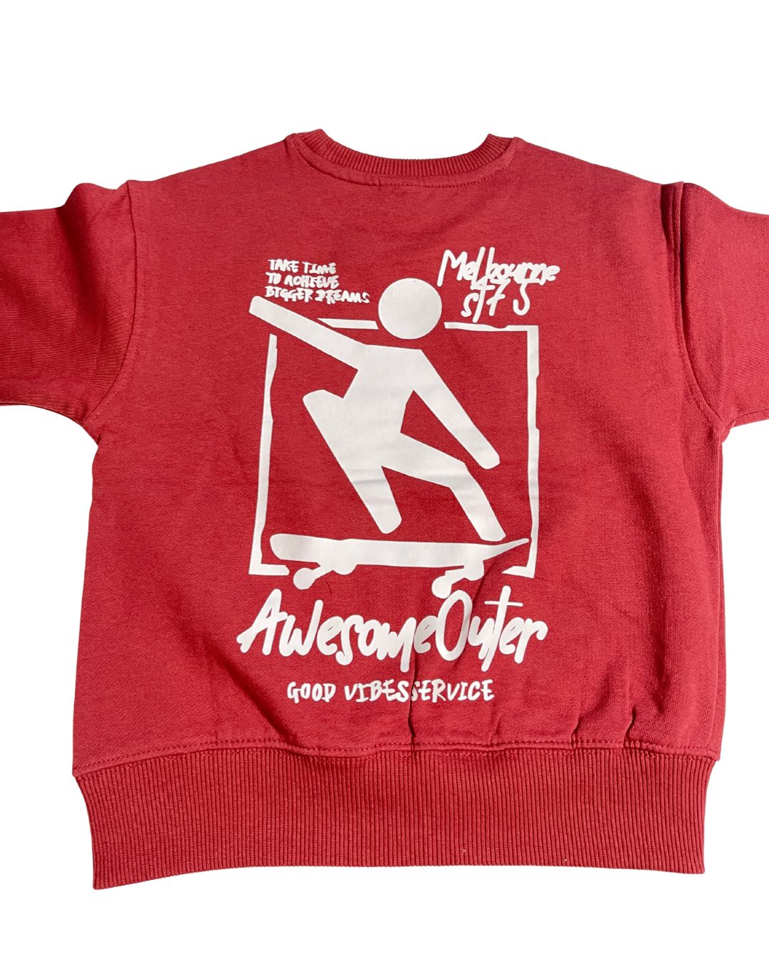 Kids Boys Sweatshirt (ZARA Brand)