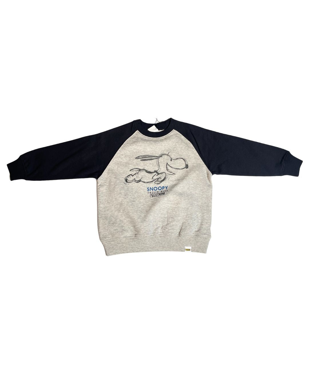 Kids Boys Sweatshirt (ZARA Brand)