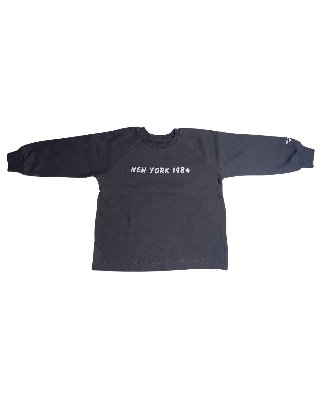 Kids Boys Sweatshirt (ZARA Brand)