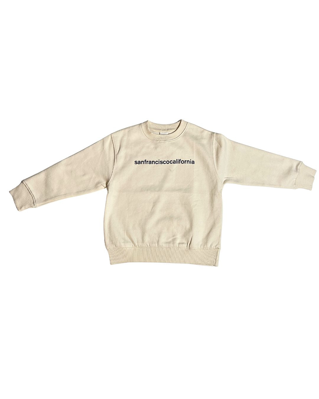 Kids Boys Sweatshirt (ZARA Brand)